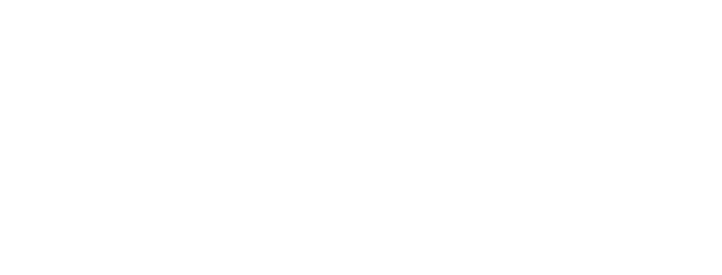 google_partner.png